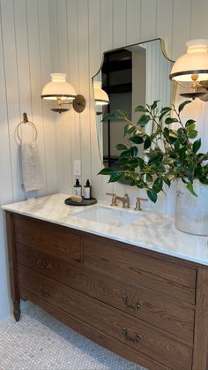 a bathroom vanity with two sinks and a large plant in the middle on top of it