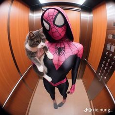 a cat sitting on top of a spider man costume