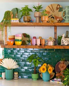 a shelf filled with lots of potted plants next to books and vases on top of wooden shelves