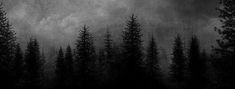 a black and white photo of trees under a cloudy sky with the moon in the distance