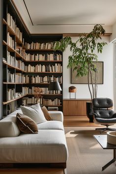 a living room filled with furniture and a book shelf next to a tree in the corner