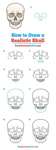 how to draw a realistic skull with easy step by step instructions for kids and adults