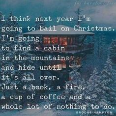 a quote from the book i think next year i'm going to bail on christmas