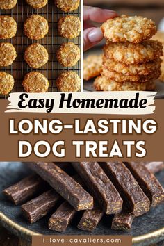 homemade dog treats with text overlay that says easy homemade long - tasting dog treats