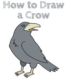 a crow with the words how to draw a crow