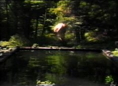 an animal is standing in the middle of a pond with its head above water and trees behind it