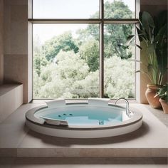 a large jacuzzi tub sitting in front of a window next to a potted plant