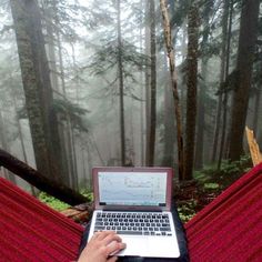 a person sitting in a hammock using a laptop computer