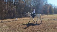 a woman riding on the back of a white horse in a field next to trees