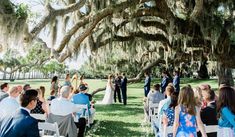 a couple getting married under an old live oak tree