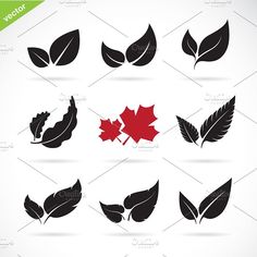 leaf icon set on white background