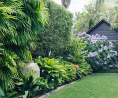 a lush garden with lots of green plants and flowers on the side of the house