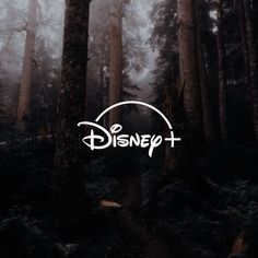 the logo for disney plus is shown in front of some tall, foggy trees