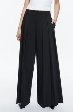 Roomy wide legs lend graceful movement to these high-waist pants with polished pleats. 33" inseam; 34" leg opening; 12" front rise; 14" back rise (size 8) Zip fly with hook-and-bar closure Side-seam pockets; back welt pockets 100% recycled-polyester lining 74% cotton, 23% nylon, 3% elastane Dry clean Imported Pleated Wide-leg Pants, Wide Leg Pants With Pleated Waist, High Waist Pleated Bottoms With Loosely Fitted Hips, Elegant Pleated Waist Solid Color Pants, Solid Wide-leg Bottoms With Pleated Waist, Wide Leg Bottoms With Pleated Waist, Elegant High-waist Wide Leg Pants With Elastic Waistband, Elegant High Waist Wide Leg Pants With Elastic Waistband, Chic Pleated Wide-leg Bottoms