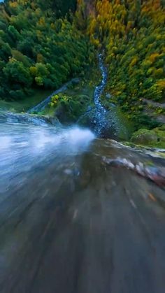 an aerial view of a river running through the woods