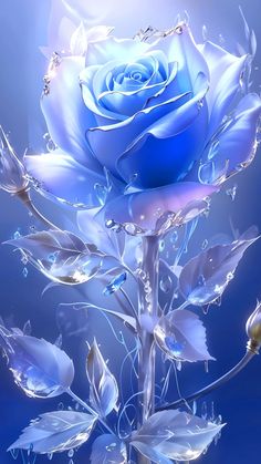 a blue rose with drops of water on it's petals is shown in this artistic photo