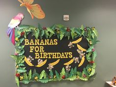 there is a sign that says bananas for birthdays and two birds on the wall