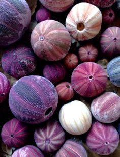 many different colored balls with holes in the middle one is pink and purple, while the other is white