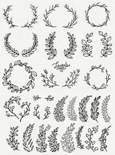 various hand drawn leaves and branches