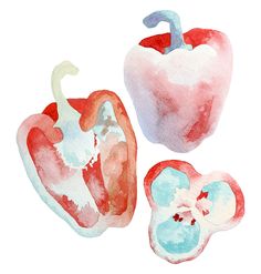 two red and white peppers painted with watercolors