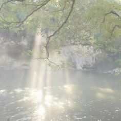 the sun is shining through the trees over the water in the river bank, with sunlight streaming down on it