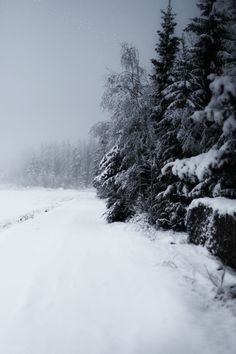 a person riding skis down a snow covered slope next to evergreen tree's