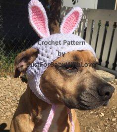 a brown dog wearing a white crocheted bunny hat