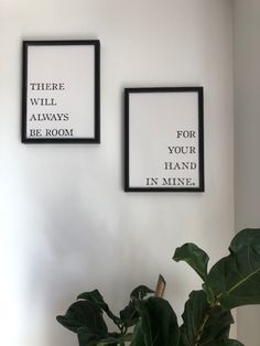 two black and white framed pictures on the wall above a potted plant with green leaves