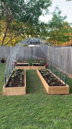 an outdoor garden area with several raised wooden planters and plants growing in the ground