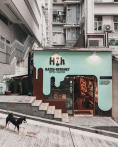 a dog is standing in front of a building with stairs leading up to the entrance