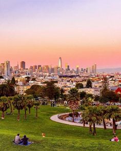 people are sitting on the grass in front of a cityscape and palm trees