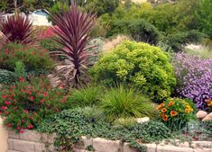 a garden filled with lots of different types of flowers