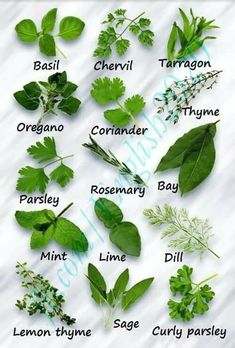 an image of herbs on facebook