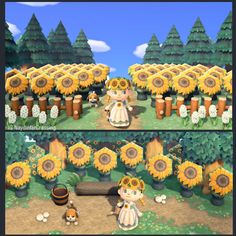 an animal crossing game with sunflowers in the foreground and on the right