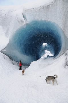 two dogs are standing in the snow near a blue hole