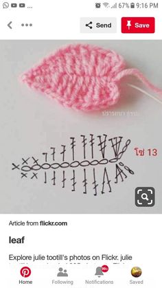 a knitted leaf is shown on an instagramt with the caption'article from flickr com