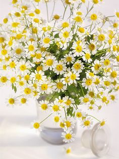 a vase filled with white and yellow flowers