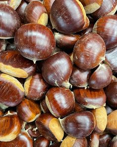 close up view of chestnuts and their seeds