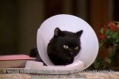 a black cat sitting on top of a table next to a book