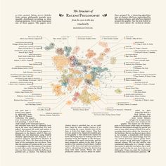 the anatomy of an animal's body and its functions, including their major structures