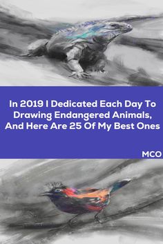 two pictures with the words in 2019 dedicated each day to drawing endangered animals, and here are 25 of my best ones