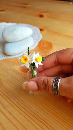 a hand holding a small vase with flowers in it on a table next to a plate