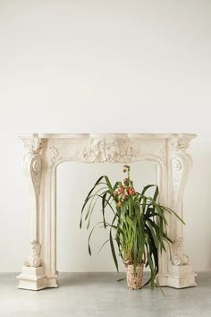 a potted plant sitting in front of a white fireplace