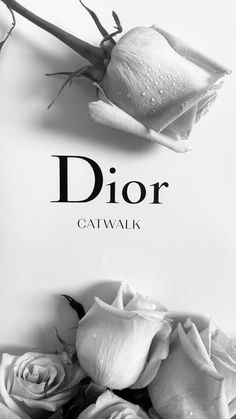 black and white photograph of flowers with the words dior gatwak on it