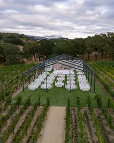 an aerial view of a wedding set up in the middle of a vineyard