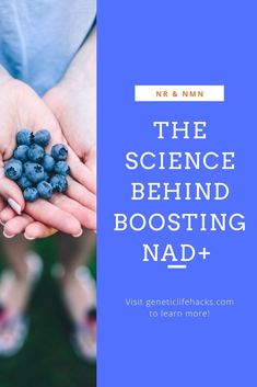 Wondering what all the buzz is about with using nicotinamide riboside (NR) and NMN to boost NAD+ and reverse aging? This article digs into the science and goes through the research studies (animal and human) to break it down for you. Learn about sirtuins, mitochondrial energy production, and how epigenetics impacts aging. Nicotinamide Riboside Benefits, Nad Supplement Benefits, Nad Benefits, Vitamin Therapy, Food Benefits, Body Wisdom, Top Anti Aging Products, Increase Testosterone Levels, Reverse Aging