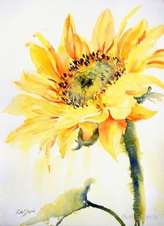 a watercolor painting of a sunflower on a white background