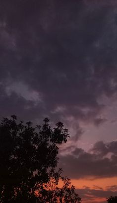 the sun is setting behind some trees and clouds in the sky, with an airplane flying overhead