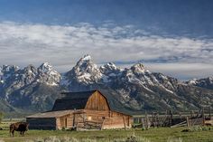 a horse standing in front of a barn with mountains in the backgrouds