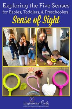 the cover of exploring the five senses for babies, toddlers and preschoolers sense of sight